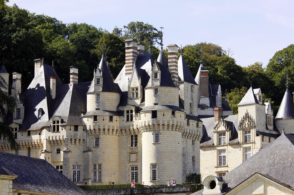 Chateau Rigny Usse