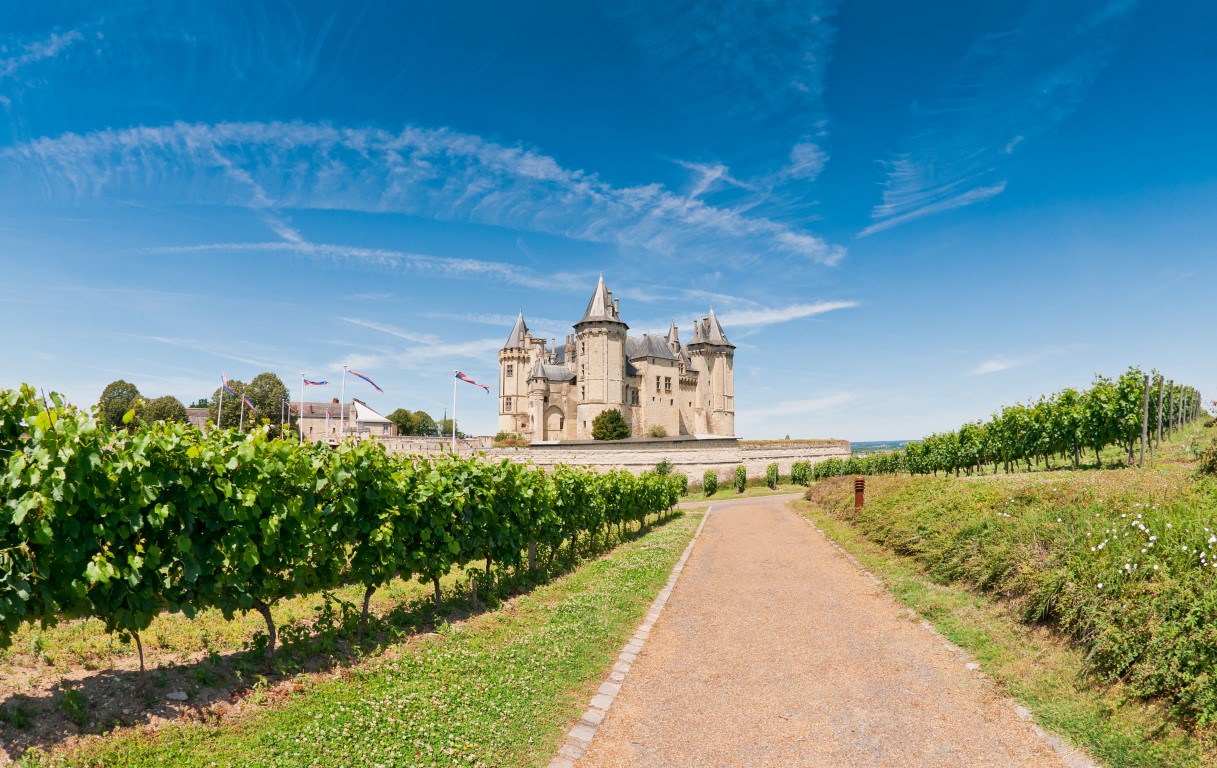 wines at Saumur Chateau
